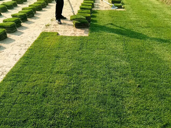 1632721915185205.jpg 7c6e32520334911ae40489a9949cd4b6_1527146395215789.jpg