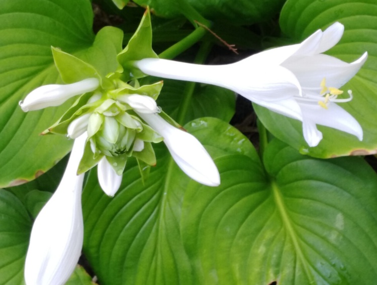 1632723310218864.jpg 1632723310218864.jpg