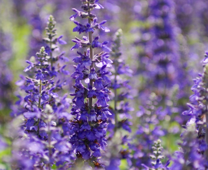 1632728078475109.jpg 1632728078475109.jpg