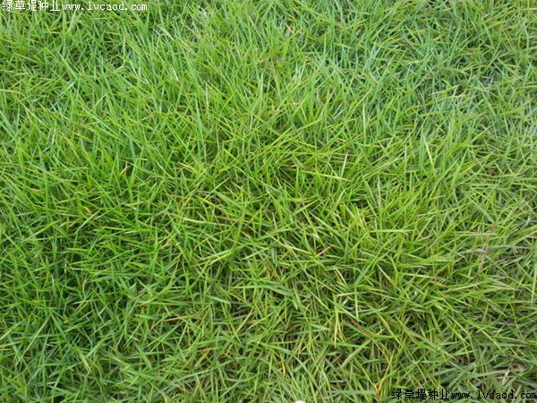 1632743126237464.jpg d7f5abac0cc3c46d346adbd7174b0253_1558491692815650.jpg