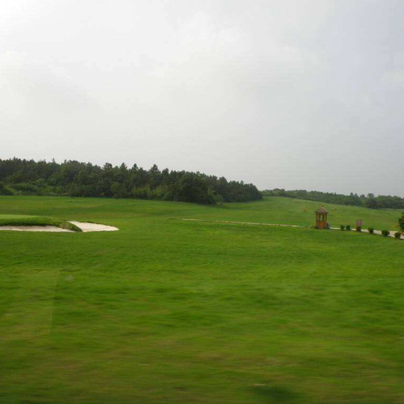 1632743501423435.jpg aa2d53f5873634cbd52ef73a51efad65_1584583939902520.jpg