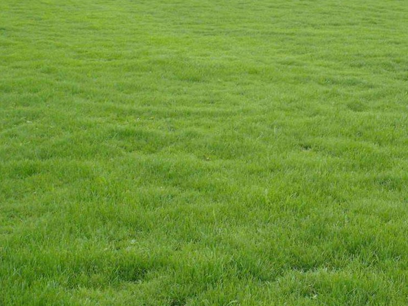 1632782194900400.jpg 1632782194900400.jpg