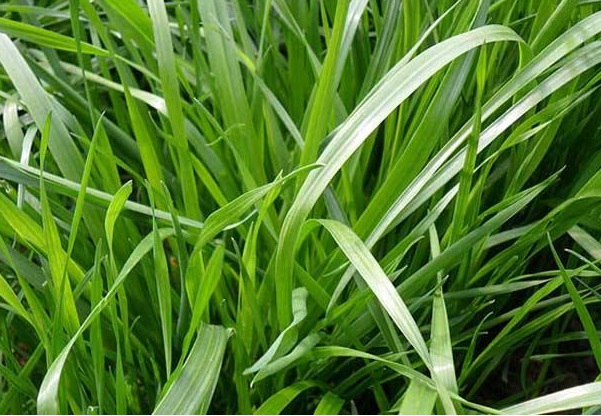 1632800212579680.jpg image.jpg