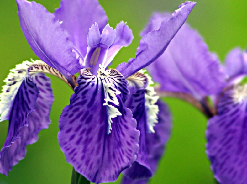 1632810026327423.jpg 衛華.jpg