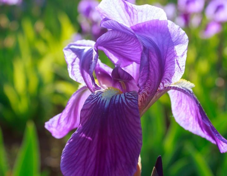 1632810282303739.jpg 衛華3.jpg