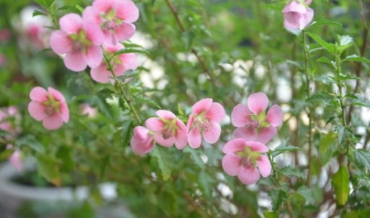 1632812905880884.jpg image.jpg