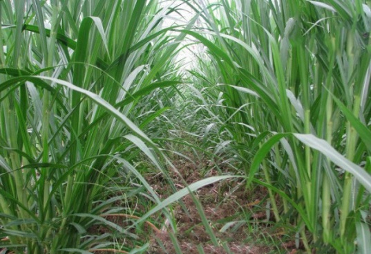 1632813401254028.jpg image.jpg