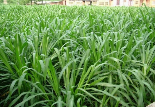 1632813479542317.jpg image.jpg