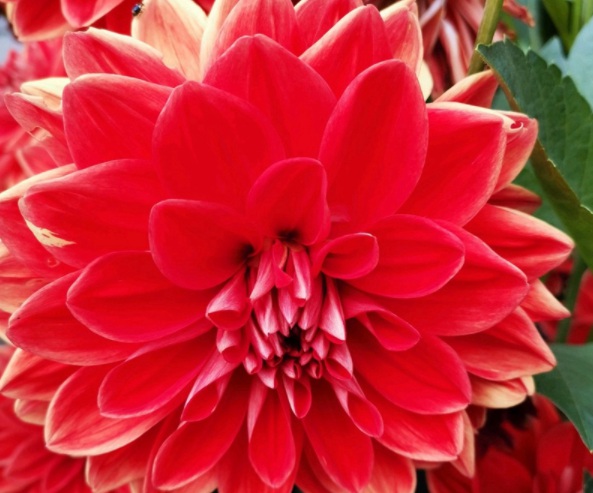 1632829521301822.jpg image.jpg