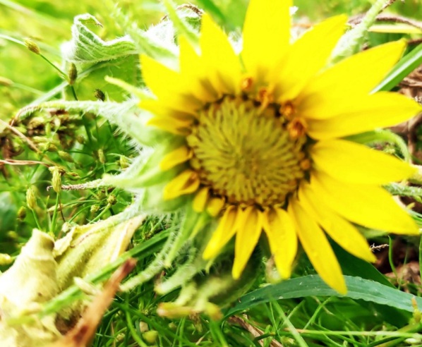 1632830226612538.jpg image.jpg