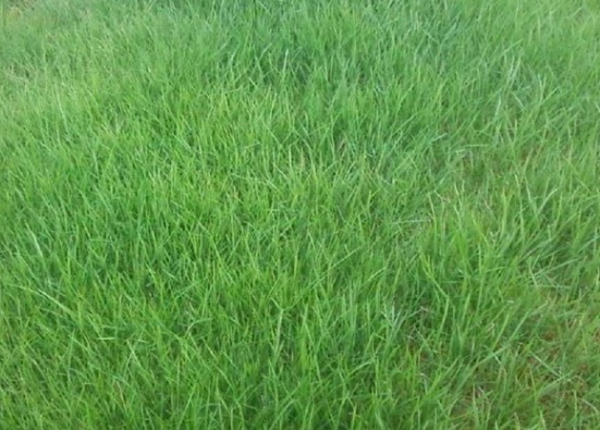 1632834444947084.jpg image.jpg