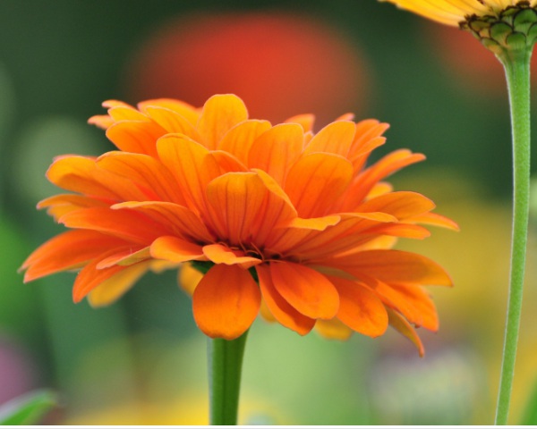 1632835268856597.jpg image.jpg