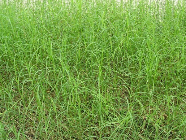 1632836948212047.jpg image.jpg