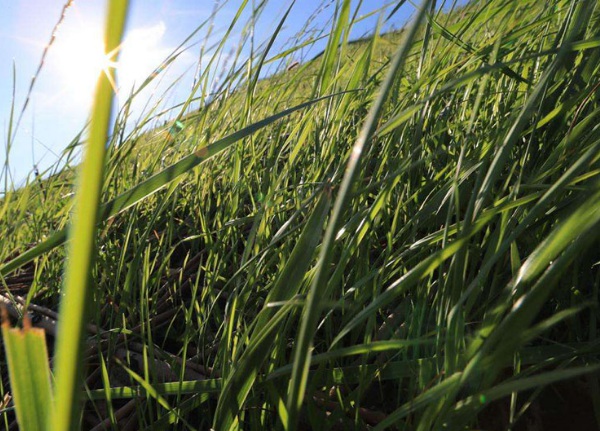 1632836966135406.jpg image.jpg