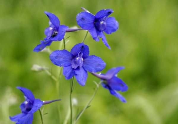 1632874851574229.jpg image.jpg