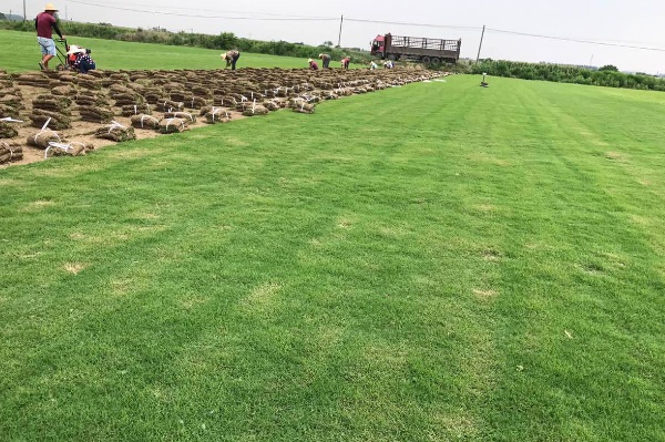 1632875194189947.jpg image.jpg