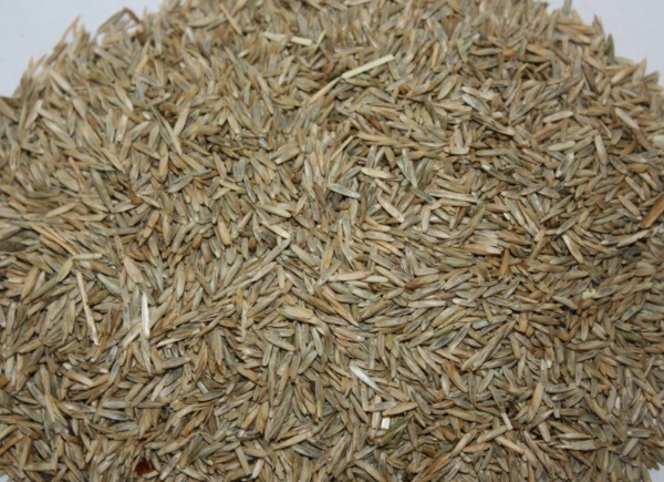 1632876130625575.jpg image.jpg