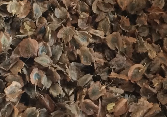 1632895696749136.jpg image.jpg