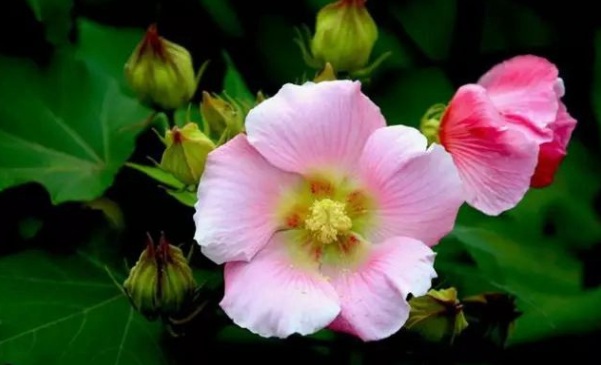 1632900867236871.jpg image.jpg