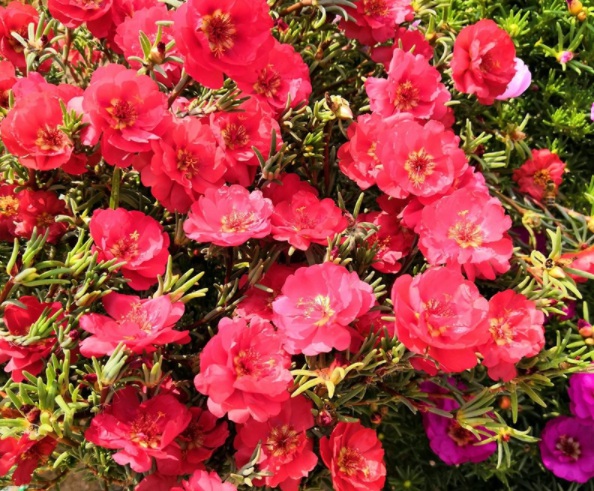 1632903870677360.jpg image.jpg