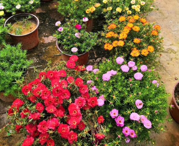 1632903915575957.jpg image.jpg