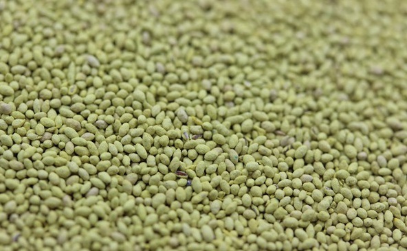 1632904105773119.jpg image.jpg