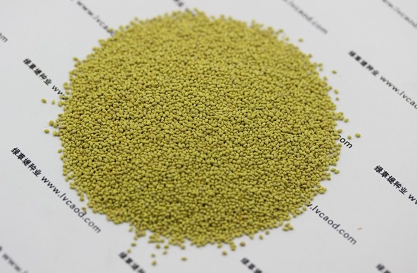 1632904121104254.jpg image.jpg