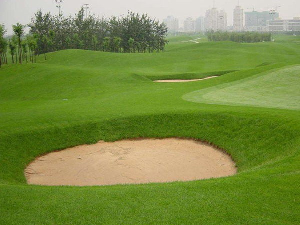 剪股穎草坪它的優(yōu)缺點(diǎn)都有哪些 剪股穎草坪它的優(yōu)缺點(diǎn)都有哪些