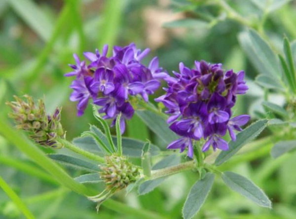 1632963802895173.jpg image.jpg