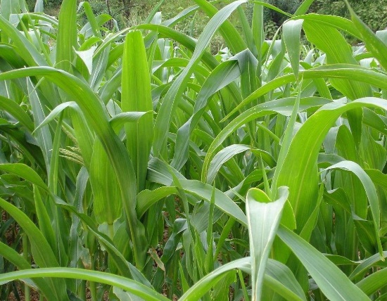 1632964422401186.jpg image.jpg