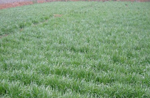 1632964543778895.jpg image.jpg