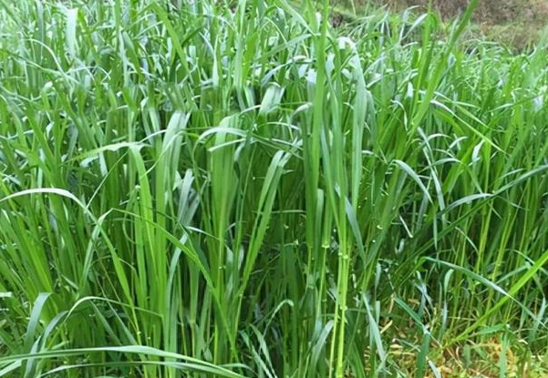 1632964752287120.jpg image.jpg