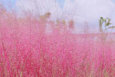 1632986540275691.jpg 1632986540275691.jpg