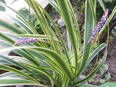 1632986831494233.jpg 1632986831494233.jpg