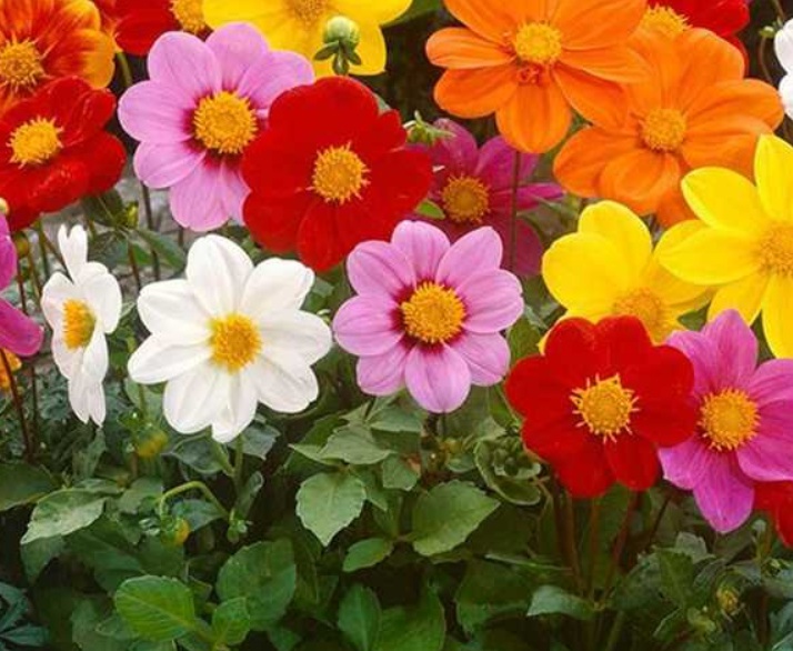 1632996776773309.jpg image.jpg