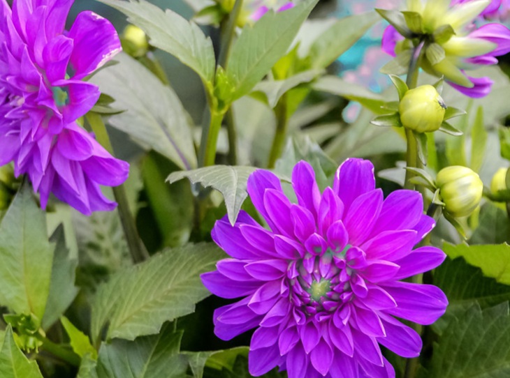 1632996820939145.jpg image.jpg