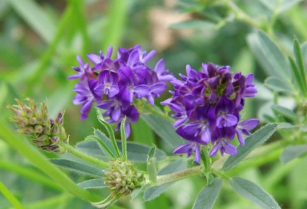 1633661488496400.jpg image.jpg