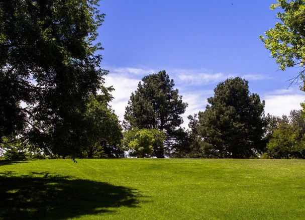 1633661646616107.jpg image.jpg