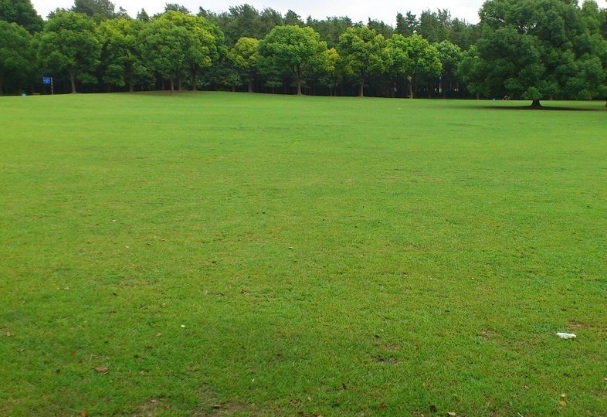 1633661660843870.jpg image.jpg