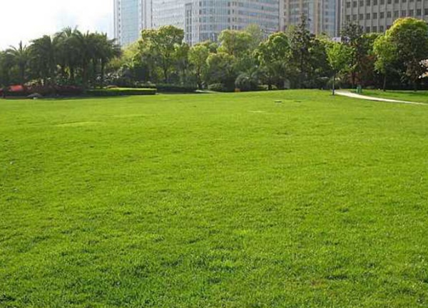 1633661676368360.jpg image.jpg