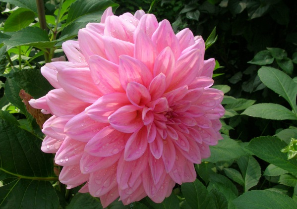 1633762256468572.jpg image.jpg