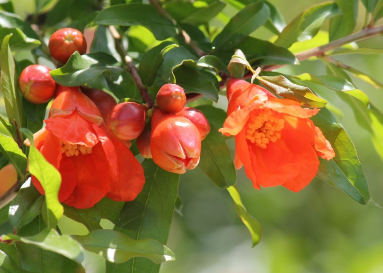 1633876412647464.jpg 1633875573(1).jpg