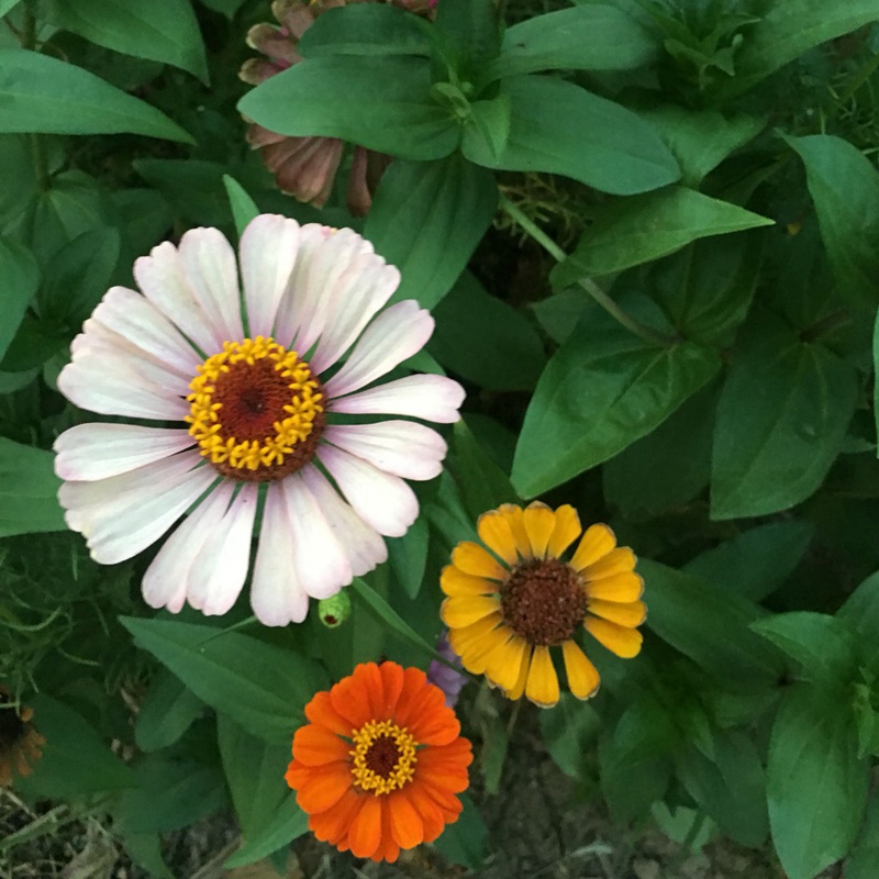 1633955560438985.jpg 8d0ff51fa7e339ba4c4f2ad1b7a81be8_1587632747119205.jpg