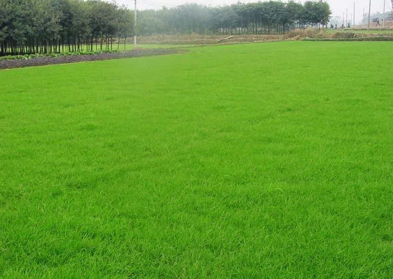 1634030760121258.jpg 1634030658(1).jpg