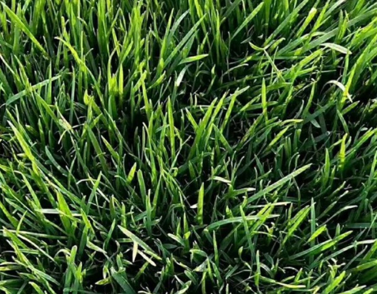 1634030775619153.jpg 1634030637(1).jpg