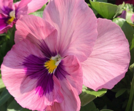 1634109748452600.jpg image.jpg