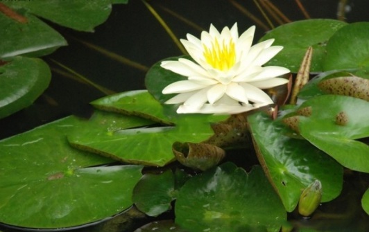 1634110901380584.jpg image.jpg