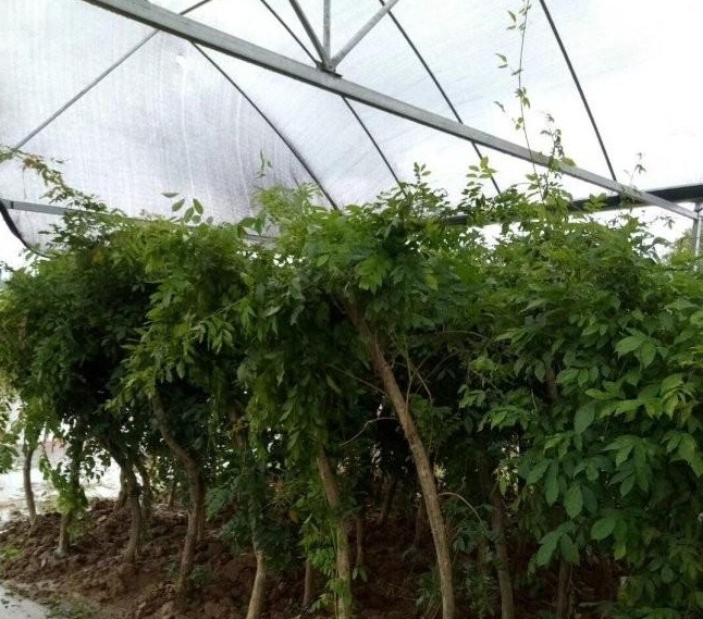 1634118454577504.jpg 圖片.jpg