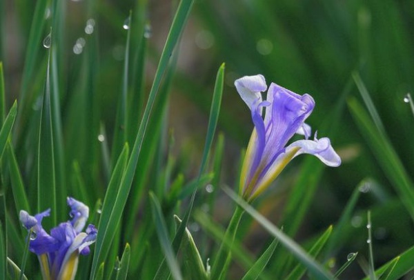 1634119566275223.jpg image.jpg