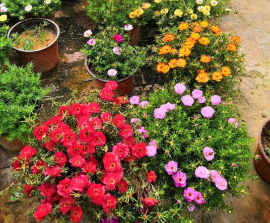 1634192726987568.jpg image.jpg